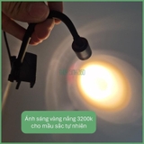 Đèn Rọi Mini Coco - Điều Chỉnh Tiêu Cự - Đèn Thủy Sinh Phù Hợp Bể Cá Cảnh, Bán Cạn, Tiếu Cảnh, Biotop