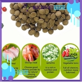 Thức ăn cá tầng đáy Biozym Benthic Food 150g - Viên nén chìm cho cá Pleco, cá chuột, hỗ trợ tiêu hóa và lên màu đẹp