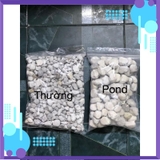 Thùng Nguyên 20LIT Matrix cho bể thủy sinh