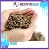 Thức ăn cá tầng đáy Biozym Benthic Food 150g - Viên nén chìm cho cá Pleco, cá chuột, hỗ trợ tiêu hóa và lên màu đẹp