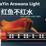 Đèn MAYIN Super Colour Thế Hệ 3 Ánh Sáng Nổi Bật Cá Rồng, Cá Vàng, Cá Chép Đủ Kích Thước