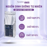 Cám cá Saki Hikari Pure White 5mm - Dưỡng trắng Shiroji, sáng da bóng vảy cho cá chép phi tần trắng, cá Koi