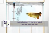 Sưởi bể cá Inox JBA Y3 cho hồ cá giá rẻ