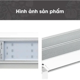 Đèn Week M Raptor PRO (M Pro Series)