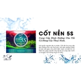Cốt nền thuỷ sinh 5S TL - Cung cấp dinh dưỡng cho cây, bổ sung thêm Fe giúp cây lên màu đẹp