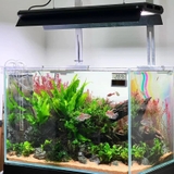Mẫu Đèn LED Thủy Sinh Week P bản mới  2025 Ver 3.0  – Lên màu cây cá, chỉnh qua điện thoại bản 3.0, BH 1 tháng