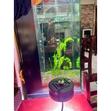 Cáp treo đèn Coco Zaqua - Hỗ trợ treo đèn hồ cá, chỉnh độ cao linh hoạt, ánh sáng đều bể thủy sinh