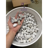 Vật Liệu Lọc CONTINUUM AQUATICS BACT-ROX  (Thùng 20L)