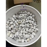 Vật Liệu Lọc CONTINUUM AQUATICS BACT-ROX  (Thùng 20L)