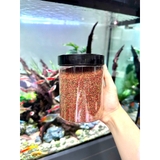 Cám cao cấp Hikari Mix 5in1 Super Red Thức ăn cám trùng huyết đỏ kích size, kích màu, hỗ trợ tiêu hóa cho cá