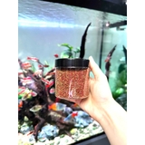 Cám cao cấp Hikari Mix 5in1 Super Red Thức ăn cám trùng huyết đỏ kích size, kích màu, hỗ trợ tiêu hóa cho cá