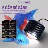 Đèn LON MAYIN 120w mẫu 2026 dành cho cá Phi Tần, cá Vàng, Mahseer ánh sáng Moonlight hẹn giờ thông minh 6 mức sáng