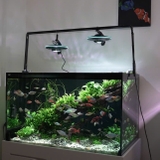UFO LangZu LZ-800 Chỉnh APP, Chỉnh Màu 4 Luồng WRGB Kết Hợp 14 Chế Độ, Đèn Viền Xanh Cao Cấp - Bảo Hành 6 Tháng