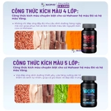 Cám cá bản địa Yee Recipe 300g hạt 2mm chính hãng - Hỗ trợ lên màu đỏ xanh, tăng size cá Blue Mahseer Pami