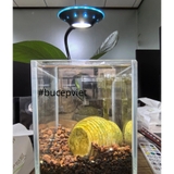 Đèn rọi kẹp UFO Mini hồ cá 5W USB - Điều chỉnh độ sáng, xoay 360 độ, chiếu sáng hồ cá mini cá cảnh