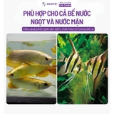 Vi sinh sống Prodibio BioDigest hộp nguyên 30 ống - Khởi tạo hệ vi sinh hồ cá, hỗ trợ xử lý NH3 NO2 NO3, làm trong nước hồ thủy sinh cá biển