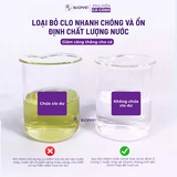 Dung dịch xử lý nấm cá Biozym Ag Liquid Yellow 350-1000ml - Hỗ trợ cải thiện nấm trắng, thối đuôi, giảm stress cá cảnh