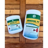 Khoáng bột vi sinh Mineral PN+ 250g/500g- Bổ sung khoáng đa vi lượng, vitamin C, hỗ trợ ổn định nước