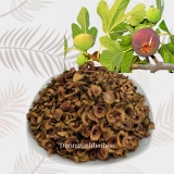 TRÀ SUNG 500G