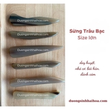 SỪNG TRÂU BẠC SIZE XL DÀI 13-15CM