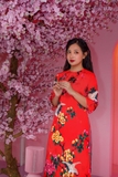Áo Dài Gấm In Đỏ Họa Tiết Chim Hạc - ADO3GINS4