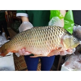 Thực đơn hàng ngày, Thứ Năm 8/6/2017