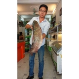 Thực Đơn Hàng Ngày 28/5/2016