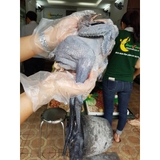 Thực đơn hàng ngày, Thứ năm 27/10/2016