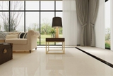 Gạch Viglacera 60x60 TS1 615