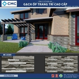 Gạch trang trí KT 25x50cm MC25505