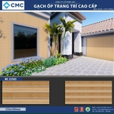 Gạch trang trí KT 25x50cm MC25503