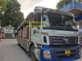 Gạch bát cổ Viglacera Đông Anh