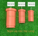 Ngói úp trung Viglacera Hạ Long