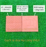 Gạch lá dừa Viglacera Hạ Long VHLII