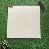 Gạch lát 60x60cm men matt 17009