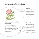 Hộp 10 miếng mặt nạ cấp ẩm và dưỡng trắng Truesky Integrated Mask chiết xuất hoa hồng đá 25g/miếng