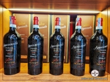 Rượu Vang Ý Appassimento Gattone Dezzani Barbera Piemonte