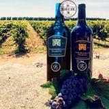 Rượu vang Ý Torri D’oro Susumaniello Salento 95