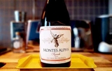 Rượu Vang Montes Alpha Syrah 2022
