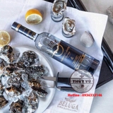 Rượu Vodka Beluga Transtlantic