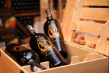 Rượu vang Ý Ange Primitivo Puglia