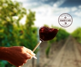 Rượu Vang Ý M Malvasia Nera