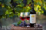Rượu Vang Đỏ Pháp Leandre Red Blend