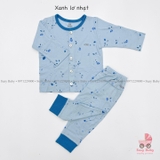 Bộ Nous cài thẳng newborn xanh lơ nhạt