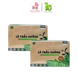 Lá Trầu Không Bảo Nhiên