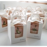 hop-giay-trang-1-lo-set-10-cai