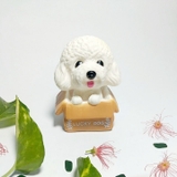 cho-trang-trong-gio