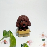 cho-nau-trong-gio
