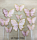 set-giay-buom-hong-gan-que-nd