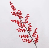 canh-nhua-qua-do-12-nhanh